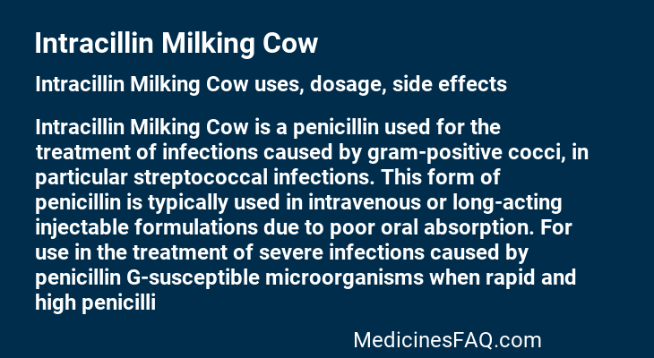 Intracillin Milking Cow