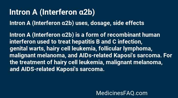 Intron A (Interferon α2b)