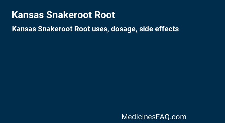 Kansas Snakeroot Root