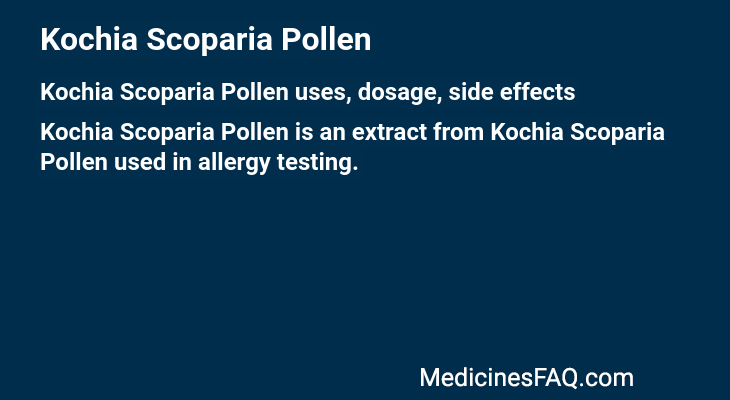Kochia Scoparia Pollen