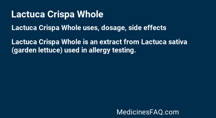 Lactuca Crispa Whole