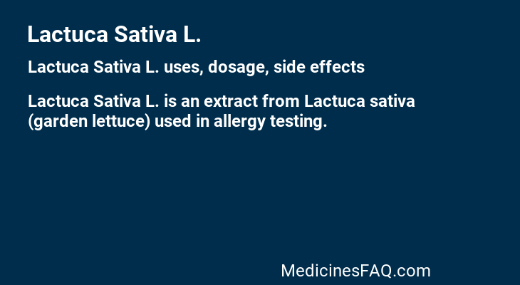 Lactuca Sativa L.