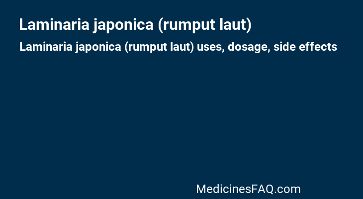 Laminaria japonica (rumput laut)
