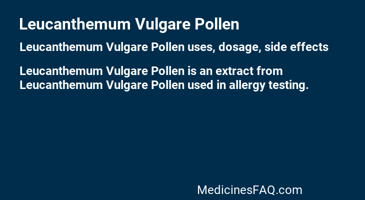 Leucanthemum Vulgare Pollen