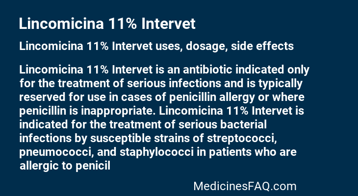 Lincomicina 11% Intervet