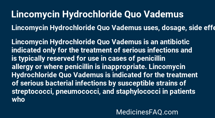 Lincomycin Hydrochloride Quo Vademus