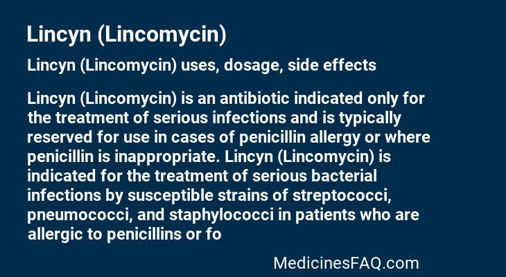 Lincyn (Lincomycin)