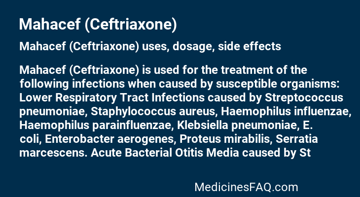 Mahacef (Ceftriaxone)