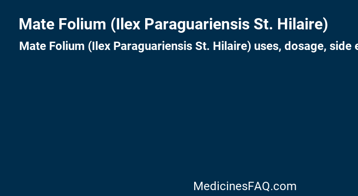 Mate Folium (Ilex Paraguariensis St. Hilaire)