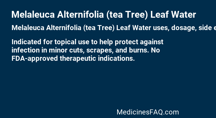 Melaleuca Alternifolia (tea Tree) Leaf Water