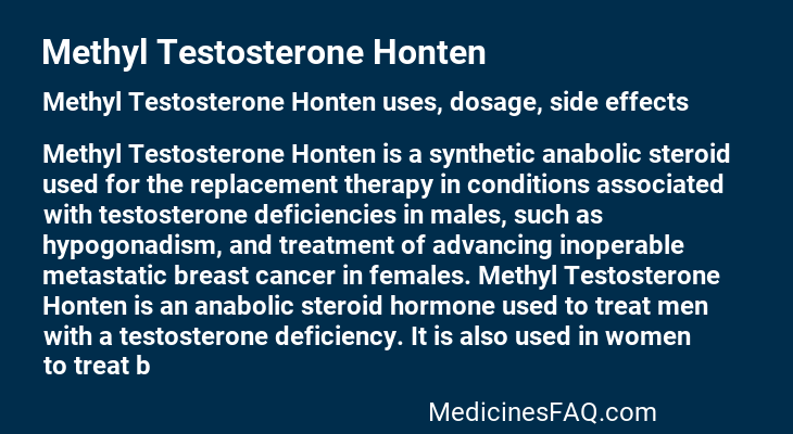 Methyl Testosterone Honten