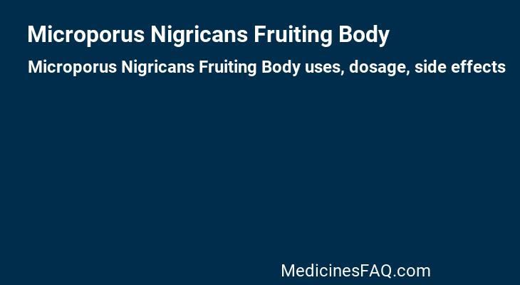 Microporus Nigricans Fruiting Body