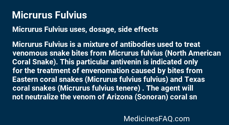 Micrurus Fulvius