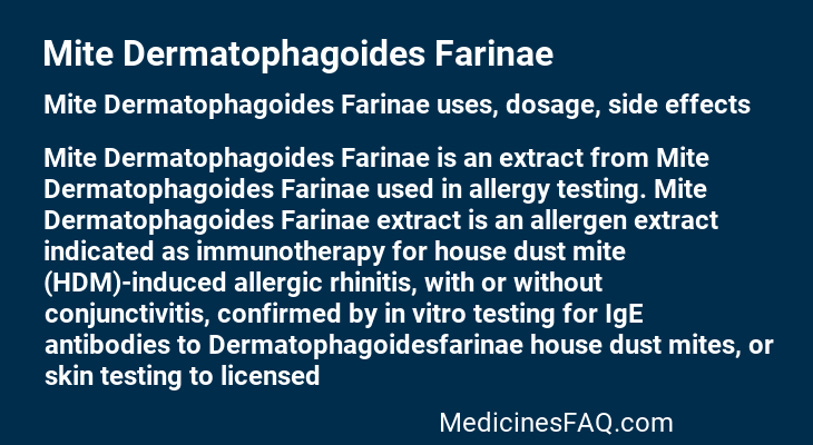 Mite Dermatophagoides Farinae