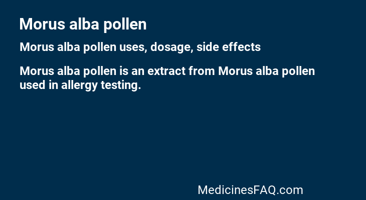 Morus alba pollen