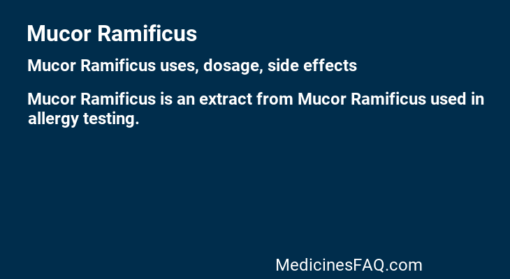 Mucor Ramificus