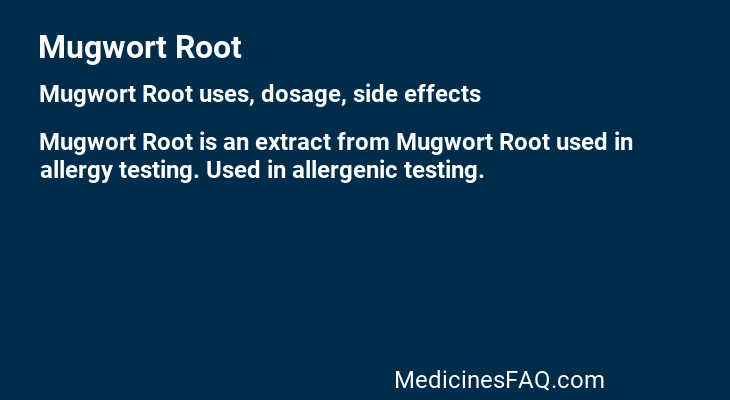 Mugwort Root