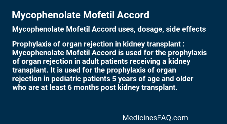 Mycophenolate Mofetil Accord