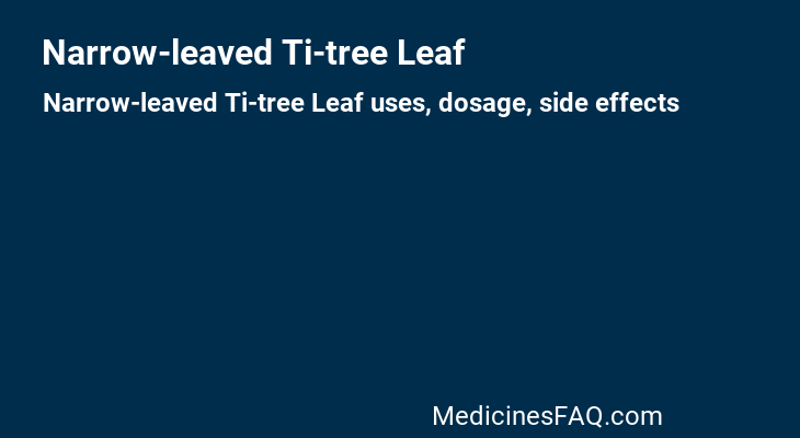 Narrow-leaved Ti-tree Leaf