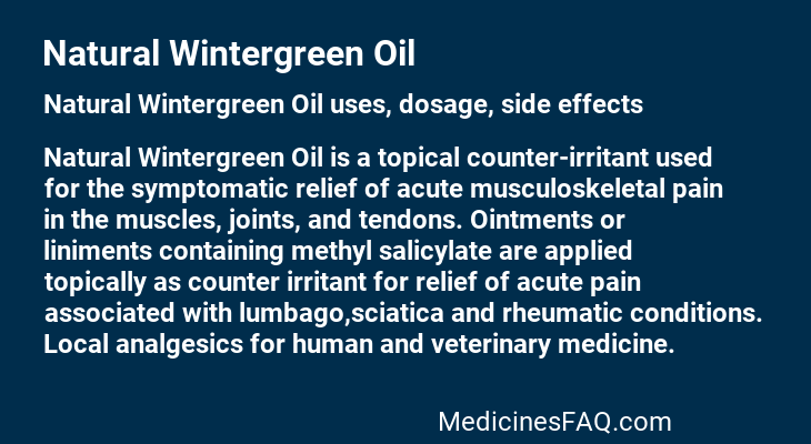 Natural Wintergreen Oil