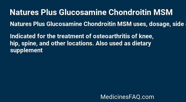 Natures Plus Glucosamine Chondroitin MSM