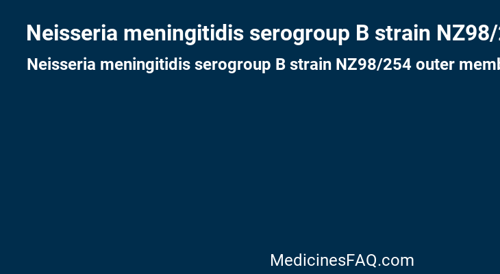 Neisseria meningitidis serogroup B strain NZ98/254 outer membrane vesicle