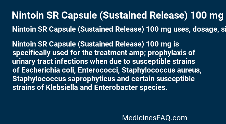 Nintoin SR Capsule (Sustained Release) 100 mg