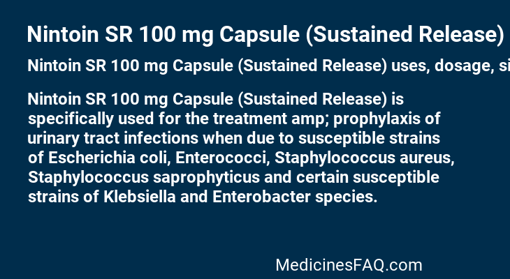 Nintoin SR 100 mg Capsule (Sustained Release)