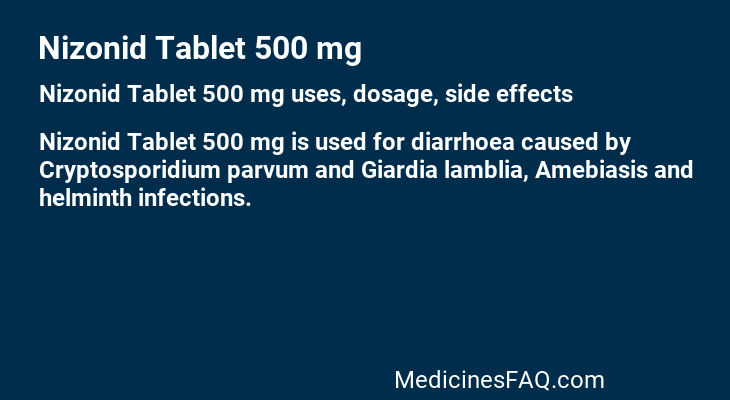 Nizonid Tablet 500 mg