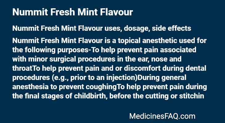 Nummit Fresh Mint Flavour