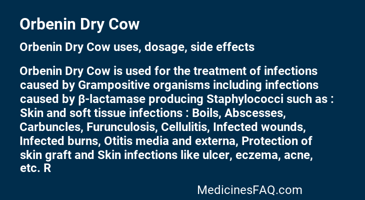 Orbenin Dry Cow