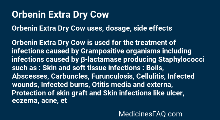 Orbenin Extra Dry Cow
