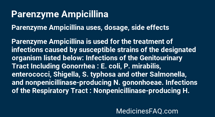 Parenzyme Ampicillina