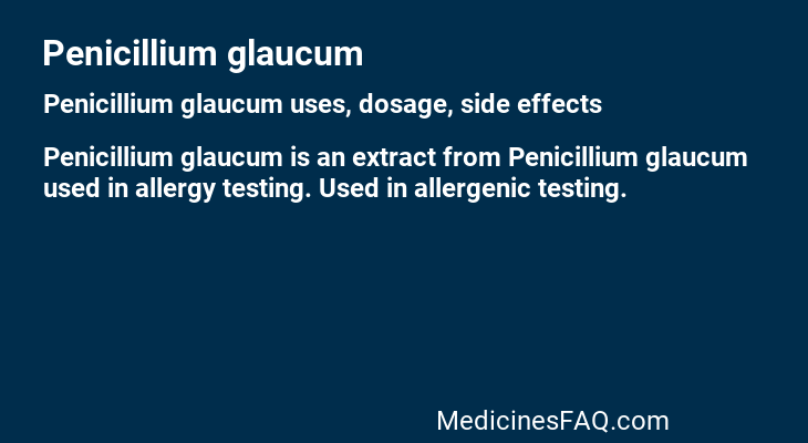Penicillium glaucum