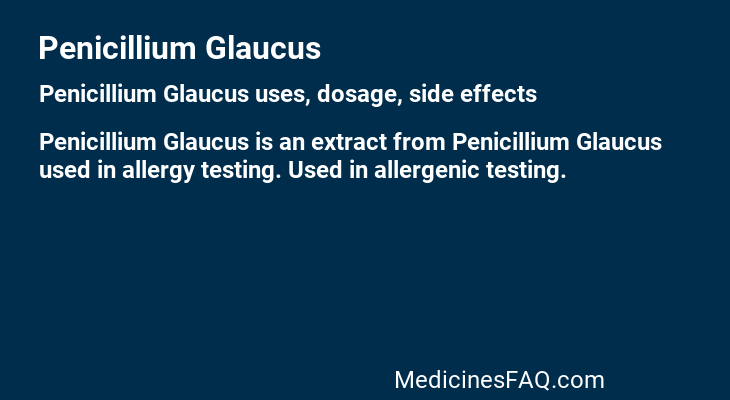 Penicillium Glaucus