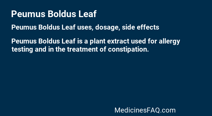 Peumus Boldus Leaf