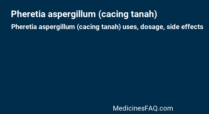 Pheretia aspergillum (cacing tanah)