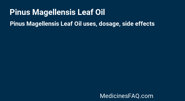 Pinus Magellensis Leaf Oil