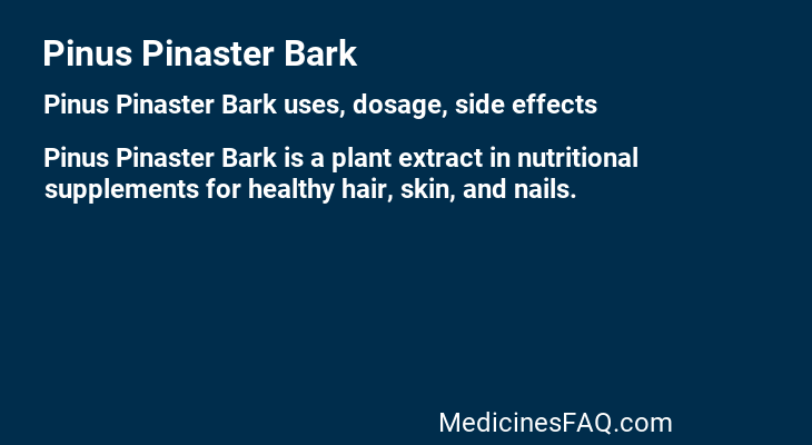 Pinus Pinaster Bark