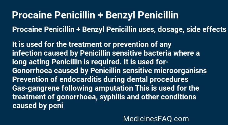 Procaine Penicillin + Benzyl Penicillin