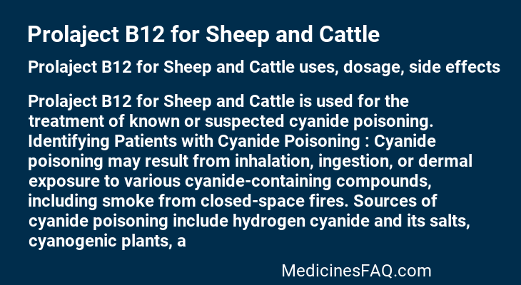 Prolaject B12 for Sheep and Cattle