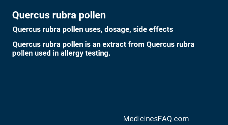 Quercus rubra pollen