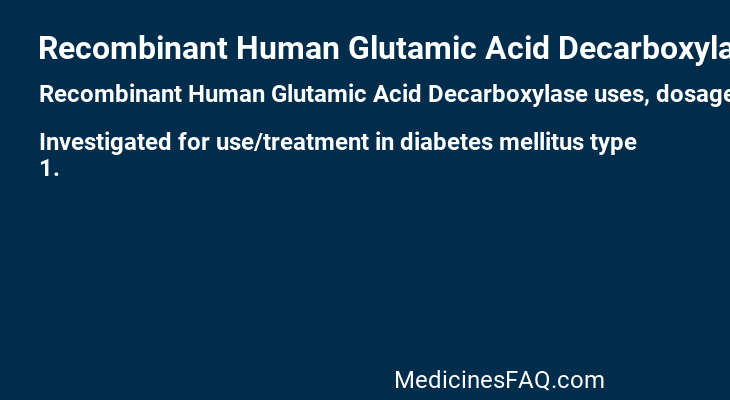Recombinant Human Glutamic Acid Decarboxylase