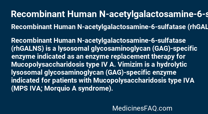Recombinant Human N-acetylgalactosamine-6-sulfatase (rhGALNS)