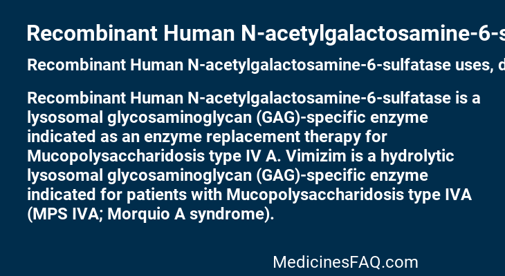 Recombinant Human N-acetylgalactosamine-6-sulfatase