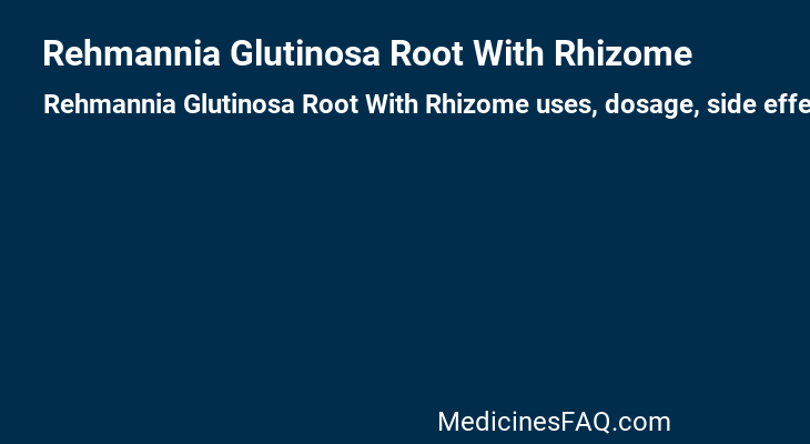Rehmannia Glutinosa Root With Rhizome