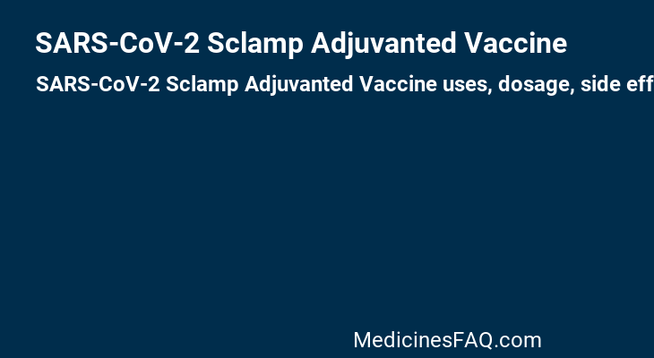 SARS-CoV-2 Sclamp Adjuvanted Vaccine