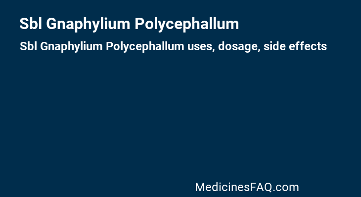 Sbl Gnaphylium Polycephallum