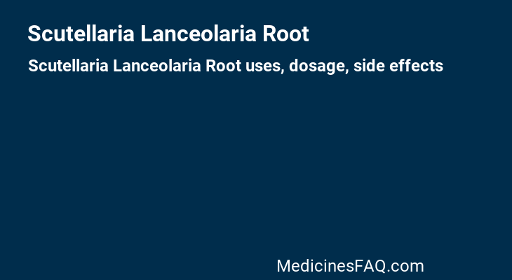 Scutellaria Lanceolaria Root