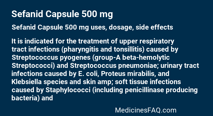 Sefanid Capsule 500 mg